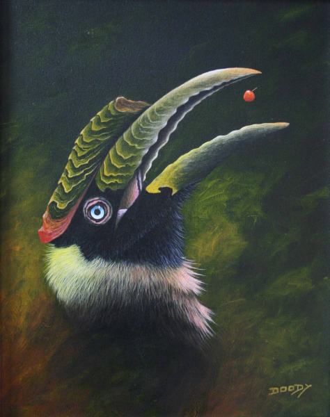 Great Indian Hornbill by artist Diarmid Doody