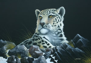 Snow Leopard by artist Diarmid Doody